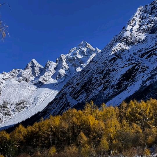 ･ω･ﾉ♡自由☔️随风･ω･ﾉ♡