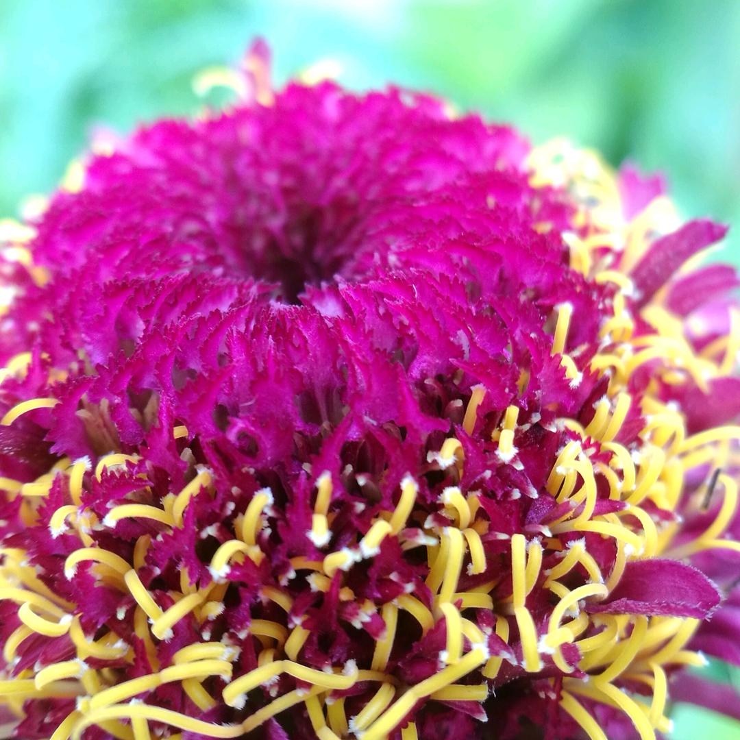 🍀⁶⁰¹抖霸🍀