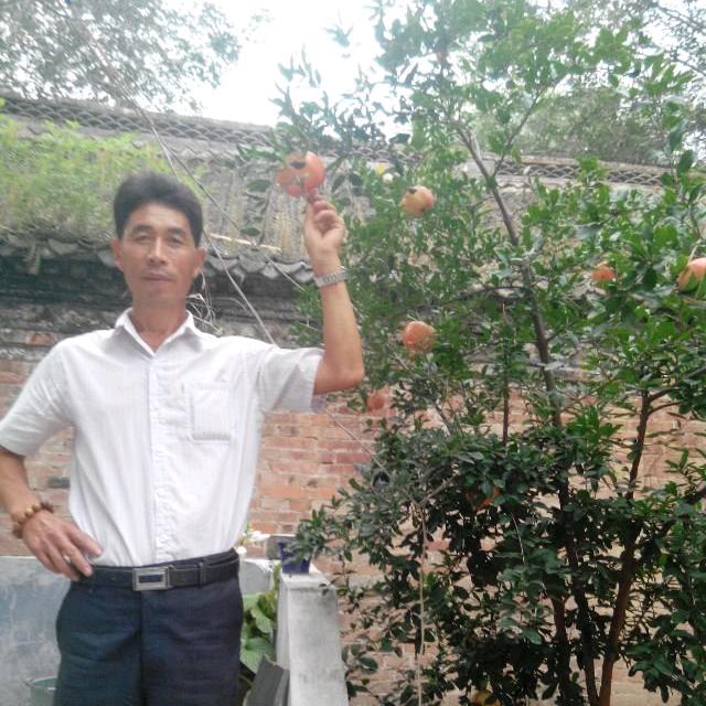 平安哥