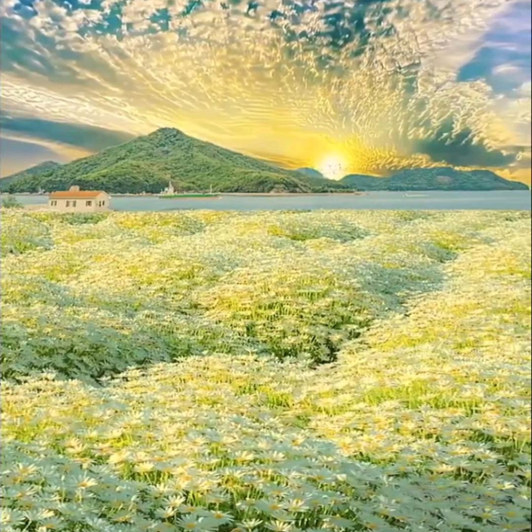 萌萌哒少女❤️