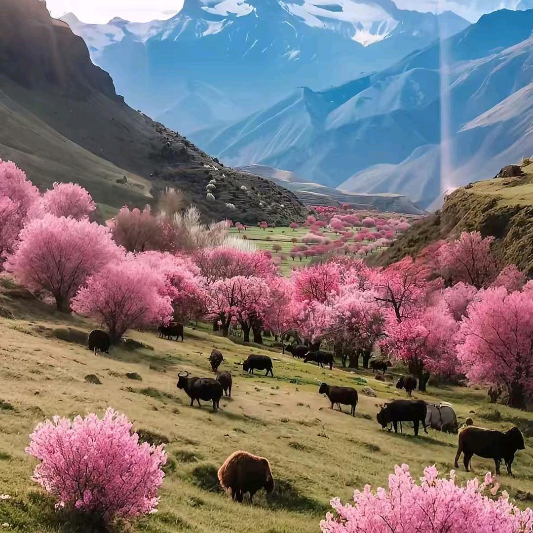 ⁵²º衹為遇見袮¹³¹⁴