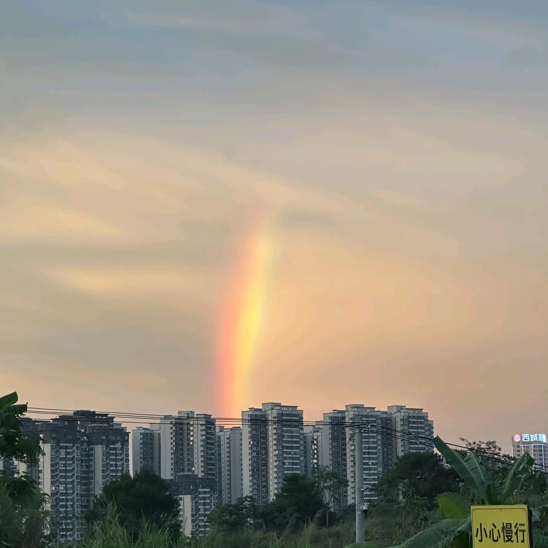 大块头