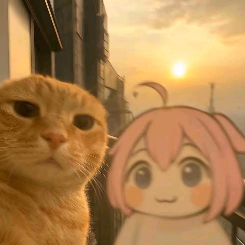 hdhg
