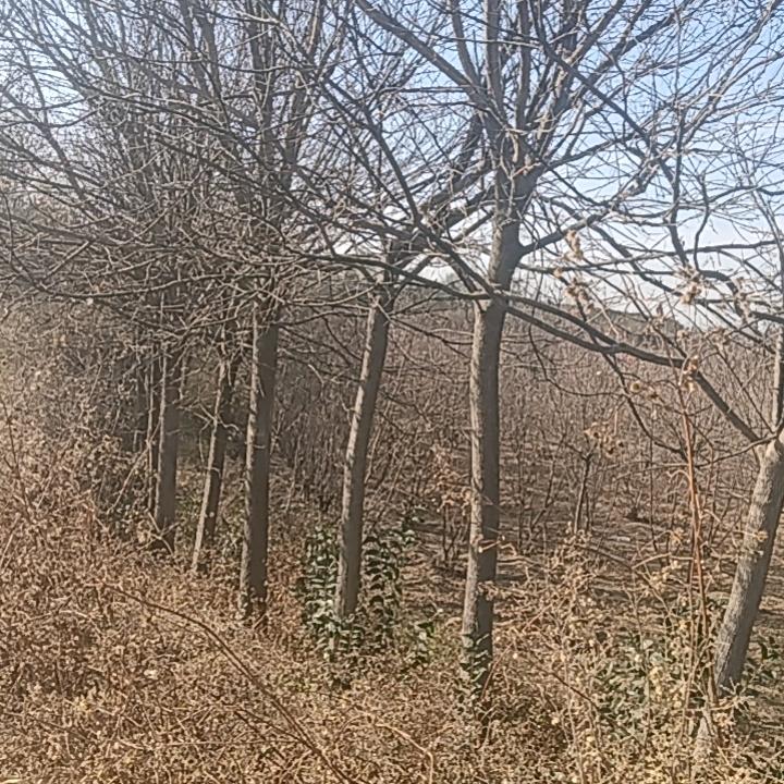 自强不息堤升自我