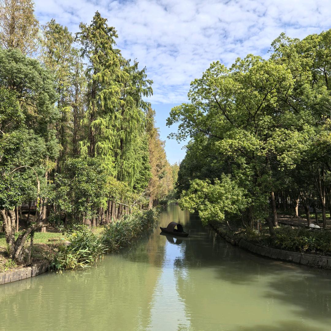 迷迷糊糊的炒大A