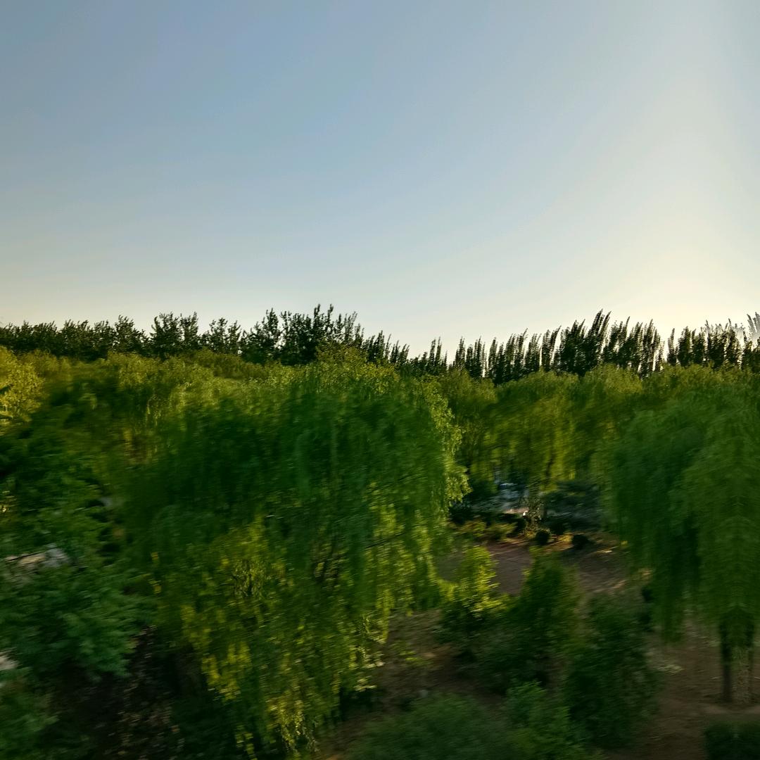 还是你好