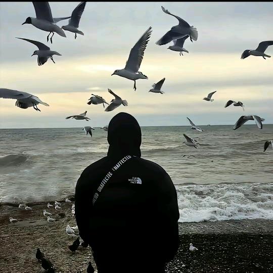 ☁  南