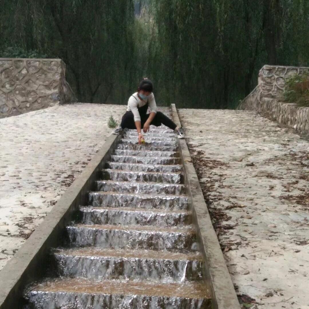 随缘
