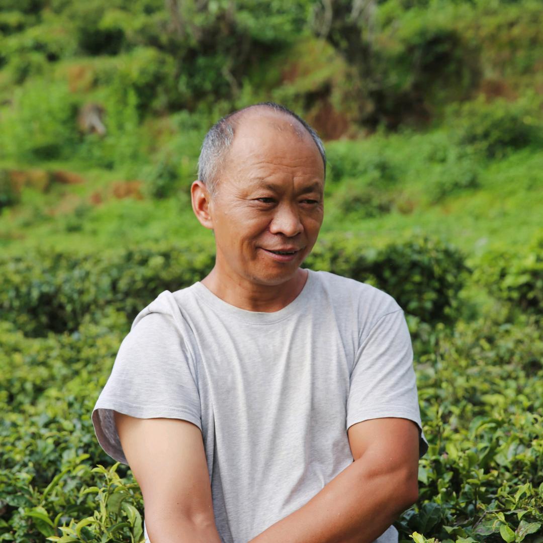 尼诺茶