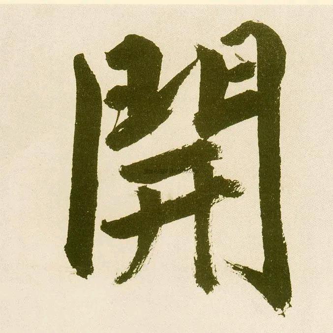 小开拍车