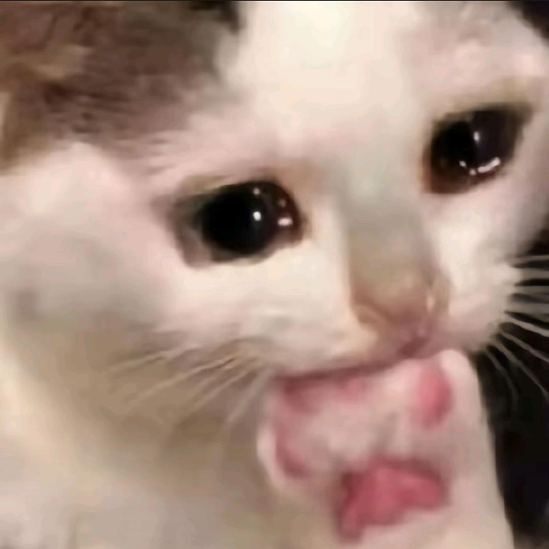 Suyuan （永恒之塔2）