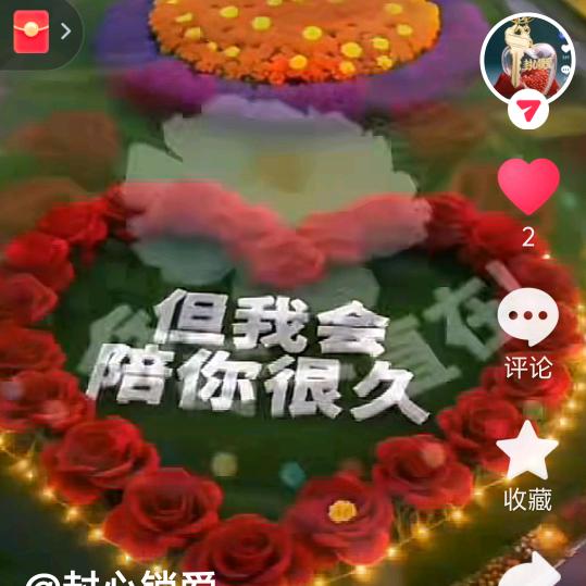 我的余生不将就。