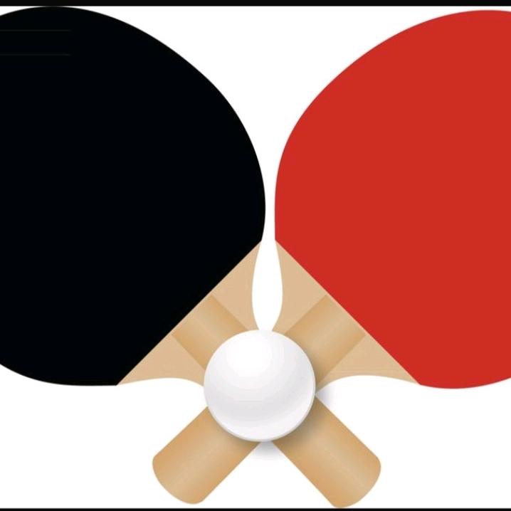 国乒爱好者