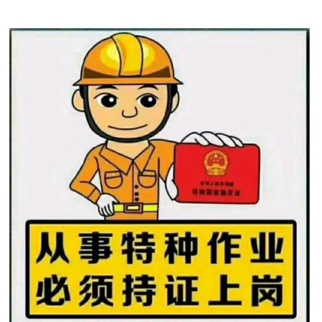 证件人生