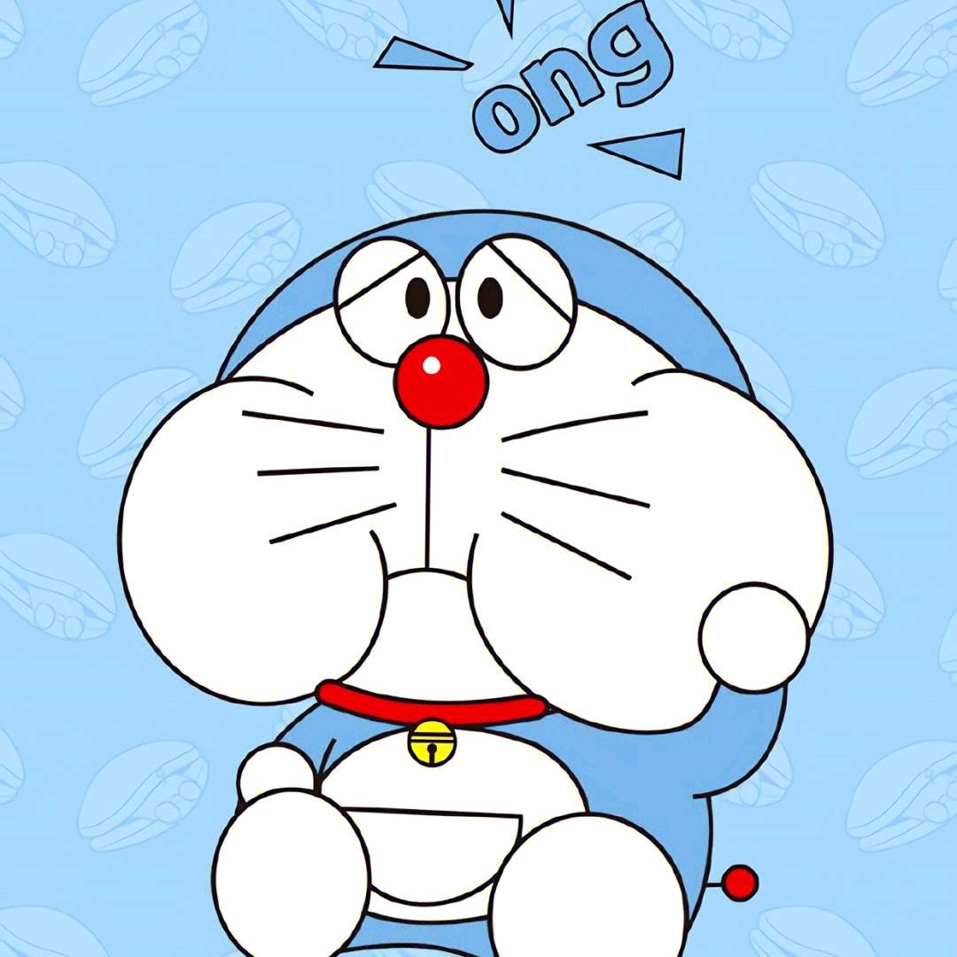 凤凰花开的路口