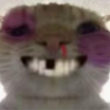 呵呵哒哒哒