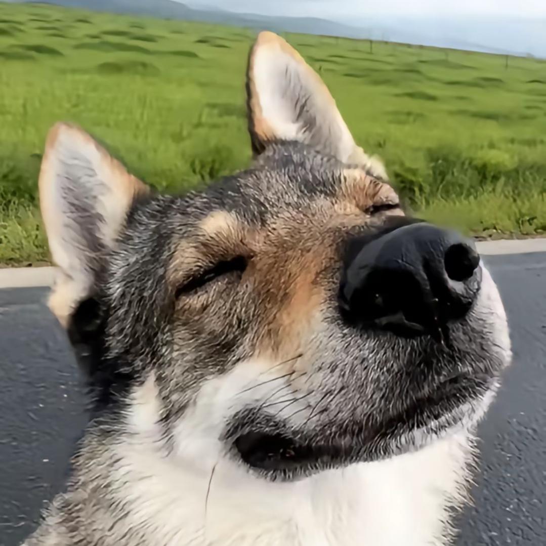 奇衡三