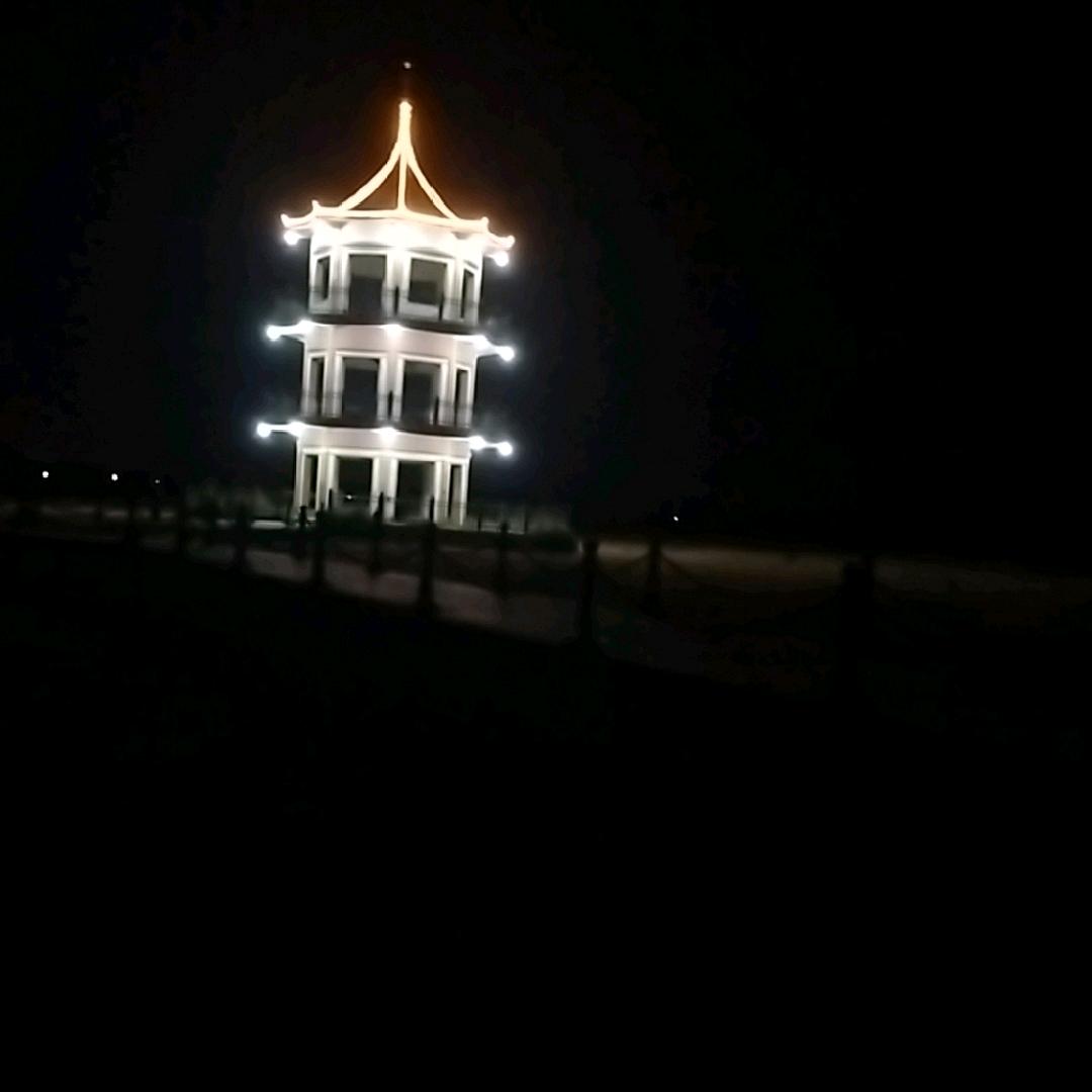 一生挚爱