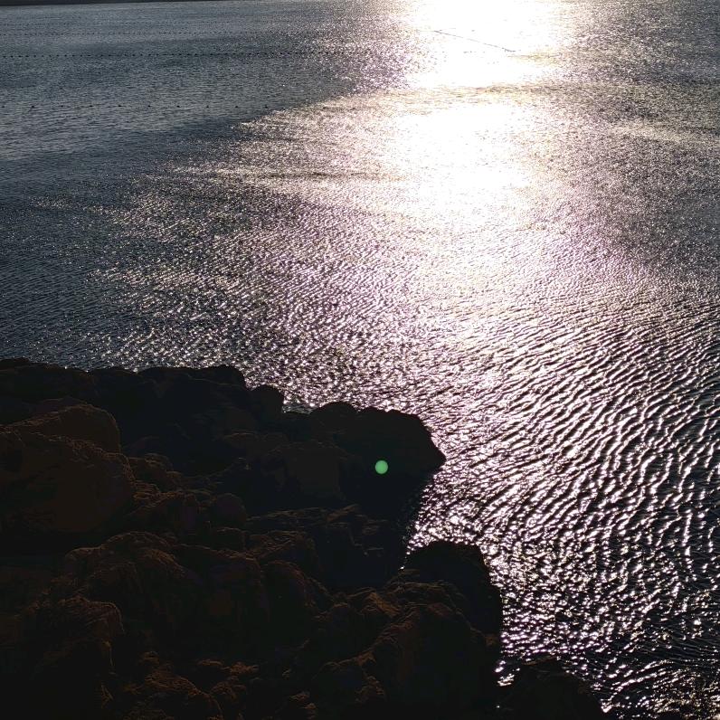 叫顺8的人人机机