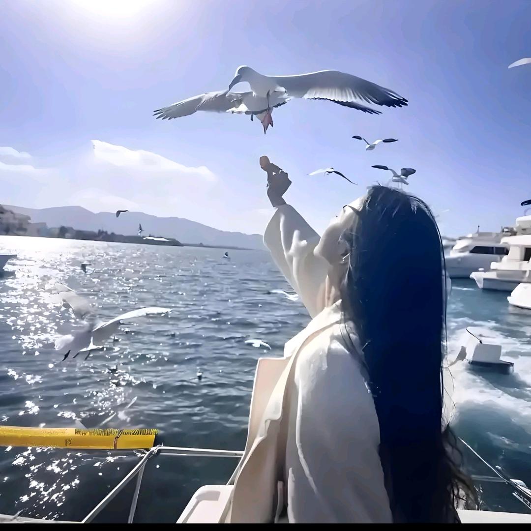 🌻向阳纳财路🌻