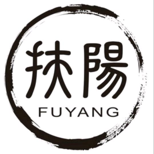曹氏扶阳中医胃肠病