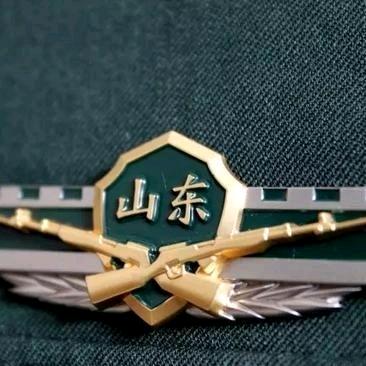 开疆沃土✈️(苏K)
