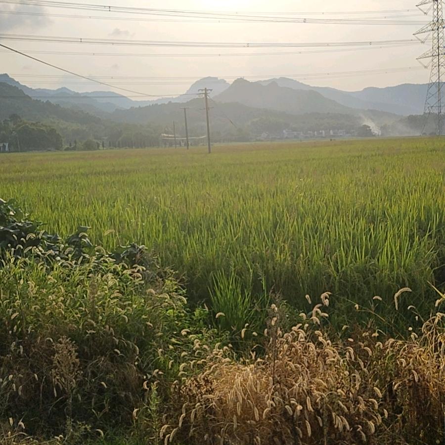 康康Ⱉฅᴛʜɪsᴡᴇᴇᴋ.