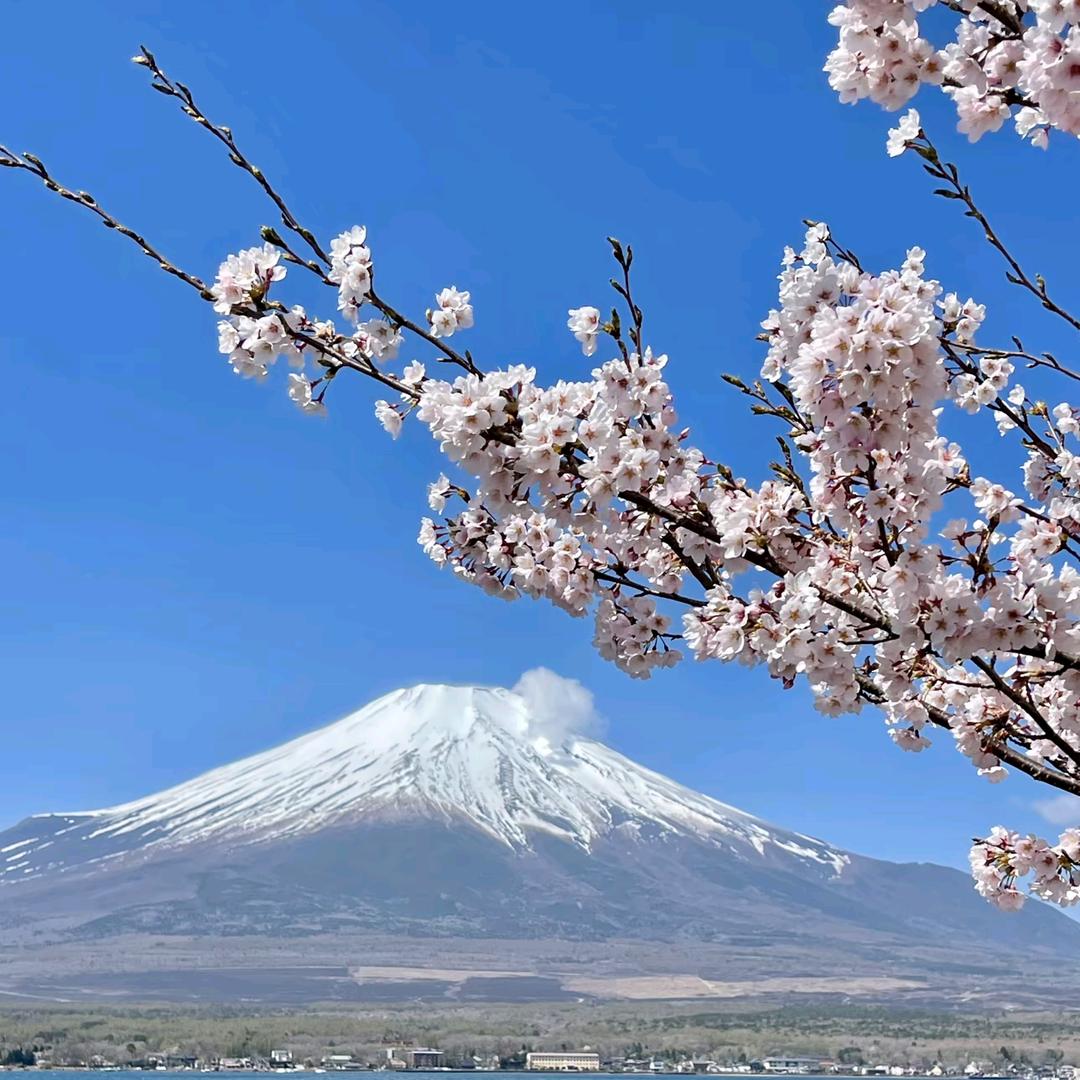 沈萦川