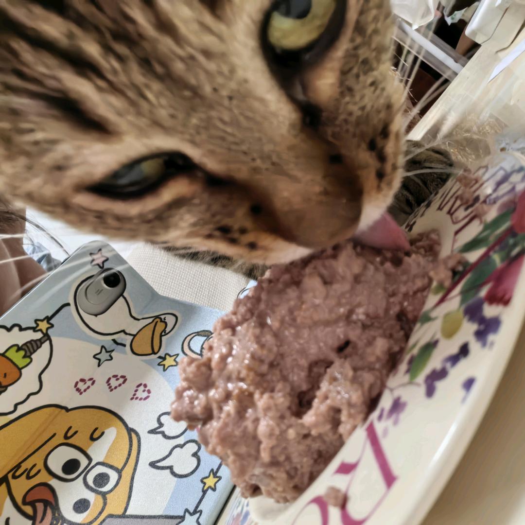 逮捕喵喵（戒d版）