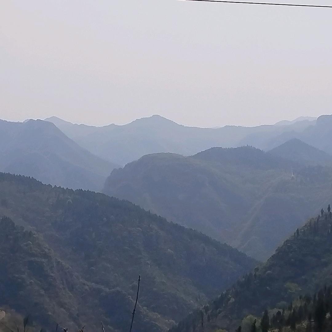 红儿