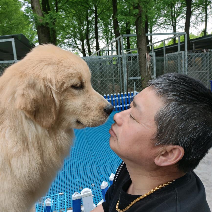 林晨犬舍（直播号）