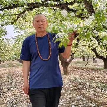 顺风