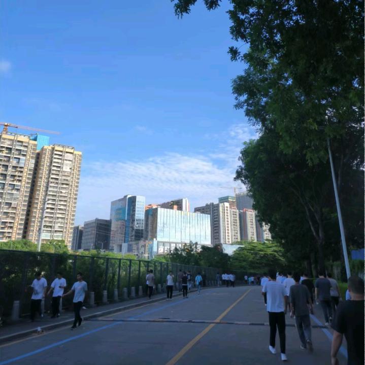 丽姐（光伏专场）