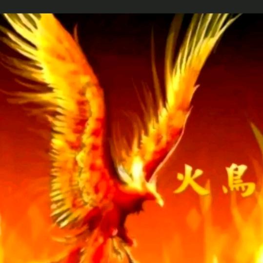火    鸟