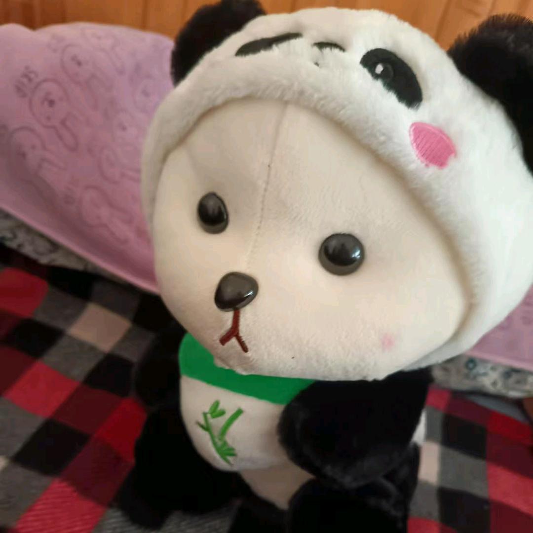 与美好不期而遇