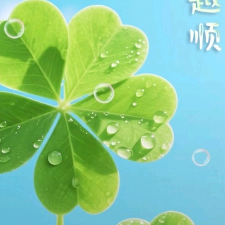 缘分让我们相识🍎