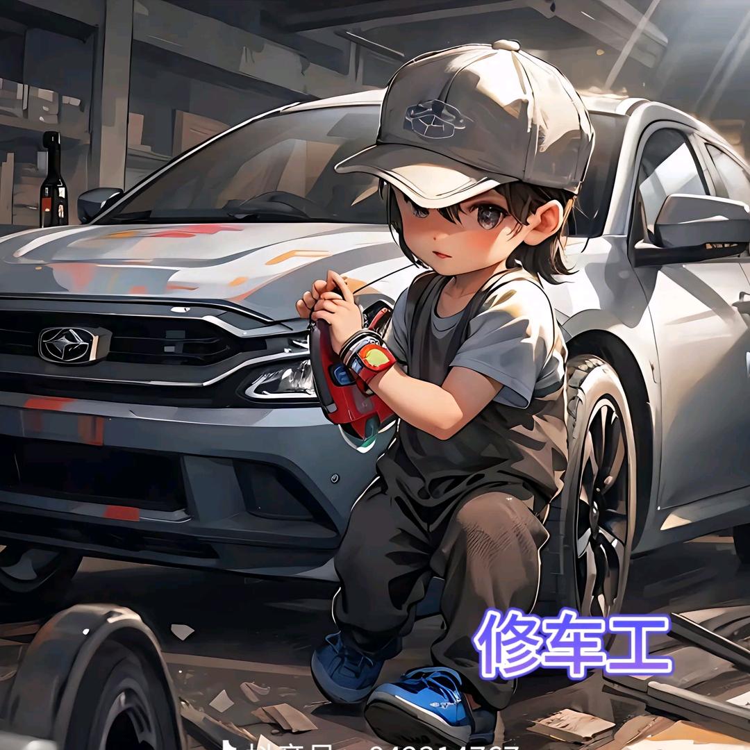 会修车的辉仔🔧