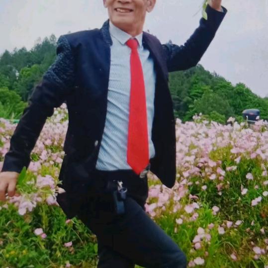 一枝梅轩绘画