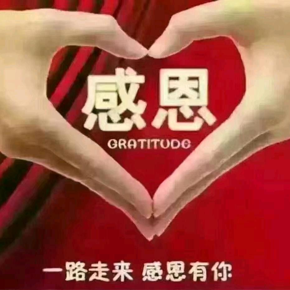 清山绿水