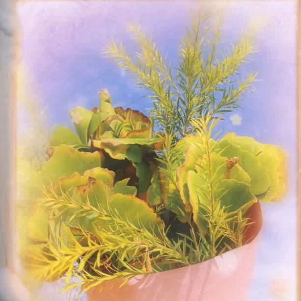 ～挽风了诗意～