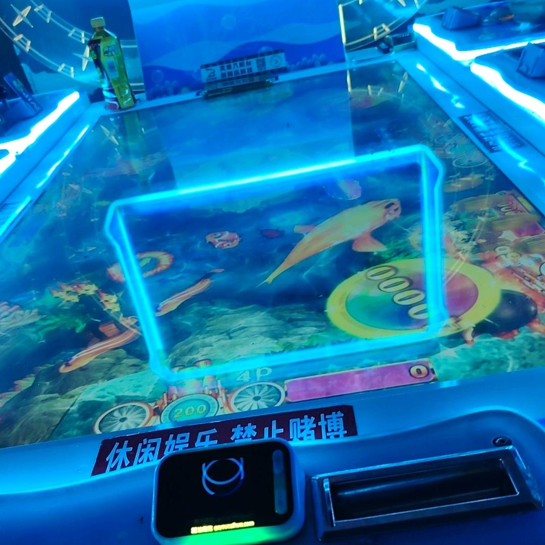 玛丽森林✔️电玩