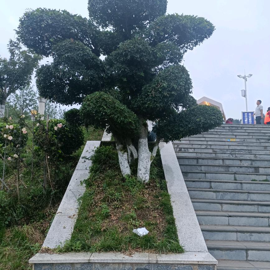 开心每一天