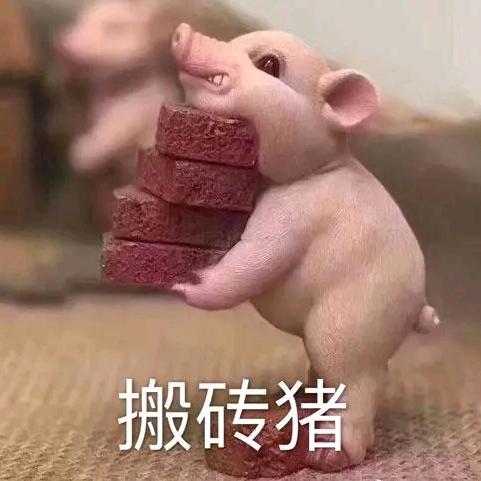 ꦾᩚ ˡ꯭ᵒᵛ꯭ᵉ格局ꦿ࿐