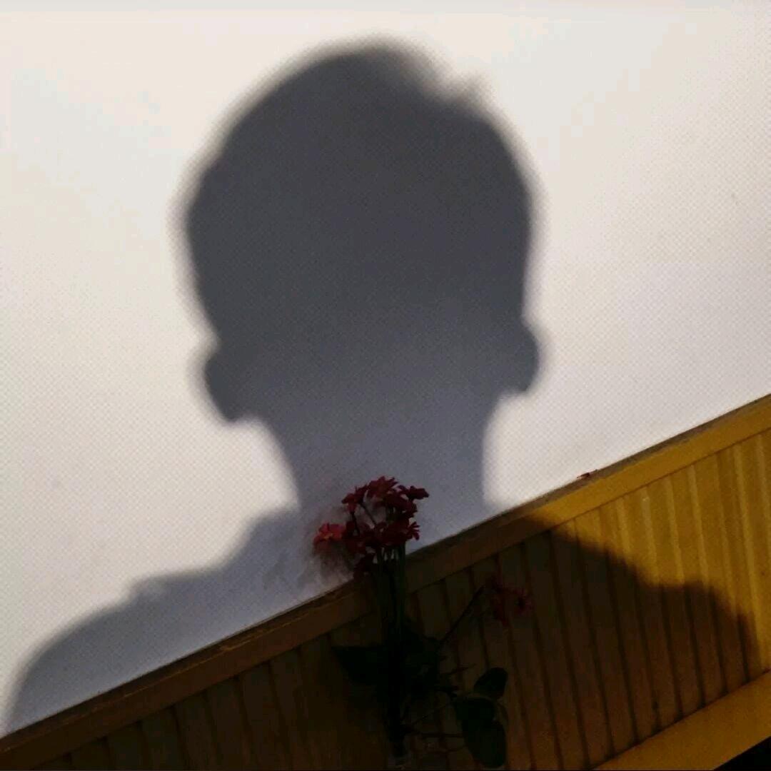 你午睡了吗