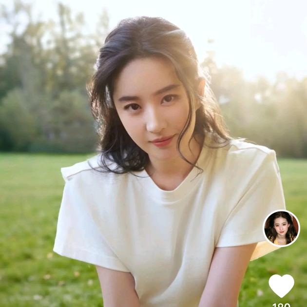 赛格法子管家(塞纳阿尔法用车)