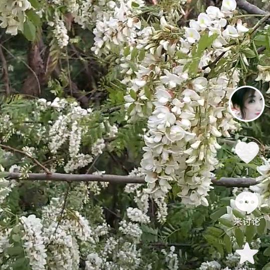 好心情