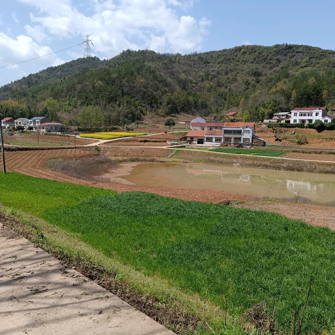 静静