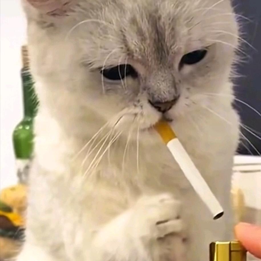 不顾