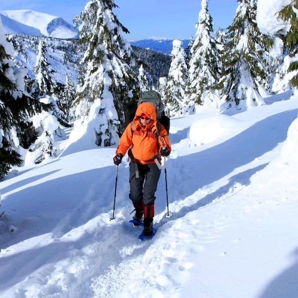 秦先森(化肥销售)