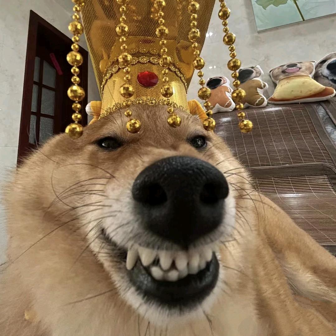 偏隅